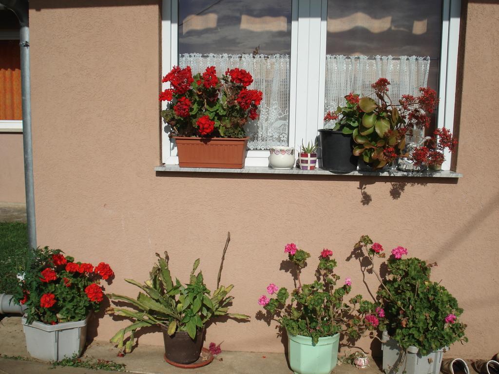Rooms Marica Selište Drežničko Buitenkant foto